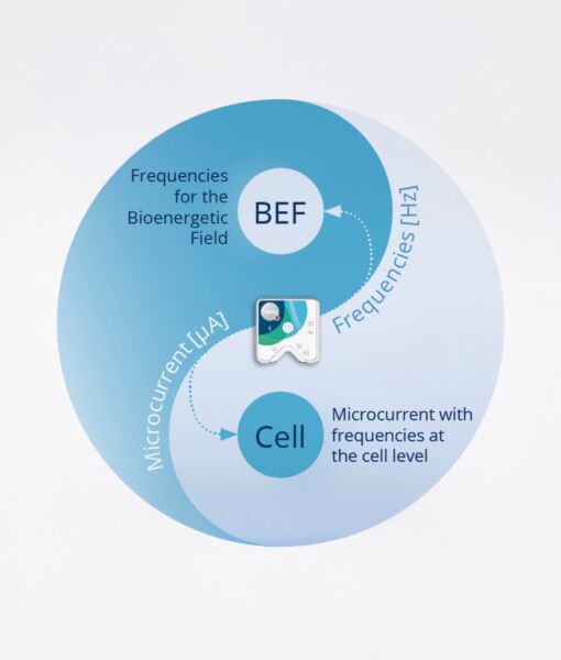 Healy Scan & Therapy Session - designed to harmonize your bioenergetic disturbances in your energy field.