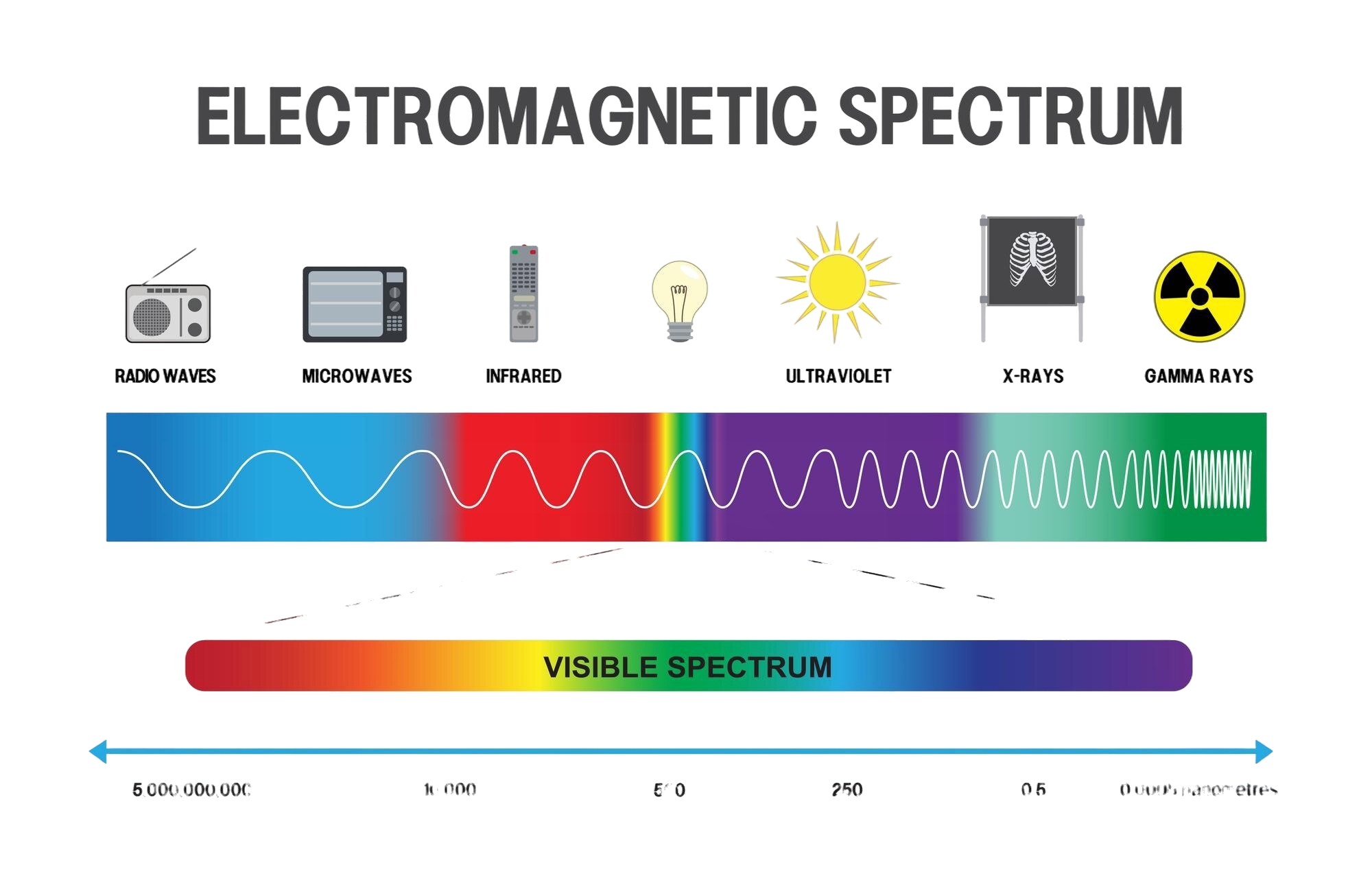 How Our Sun and Bioenergetics Energize Our Health