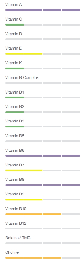 How Our Sun and Bioenergetics Energize Our Health