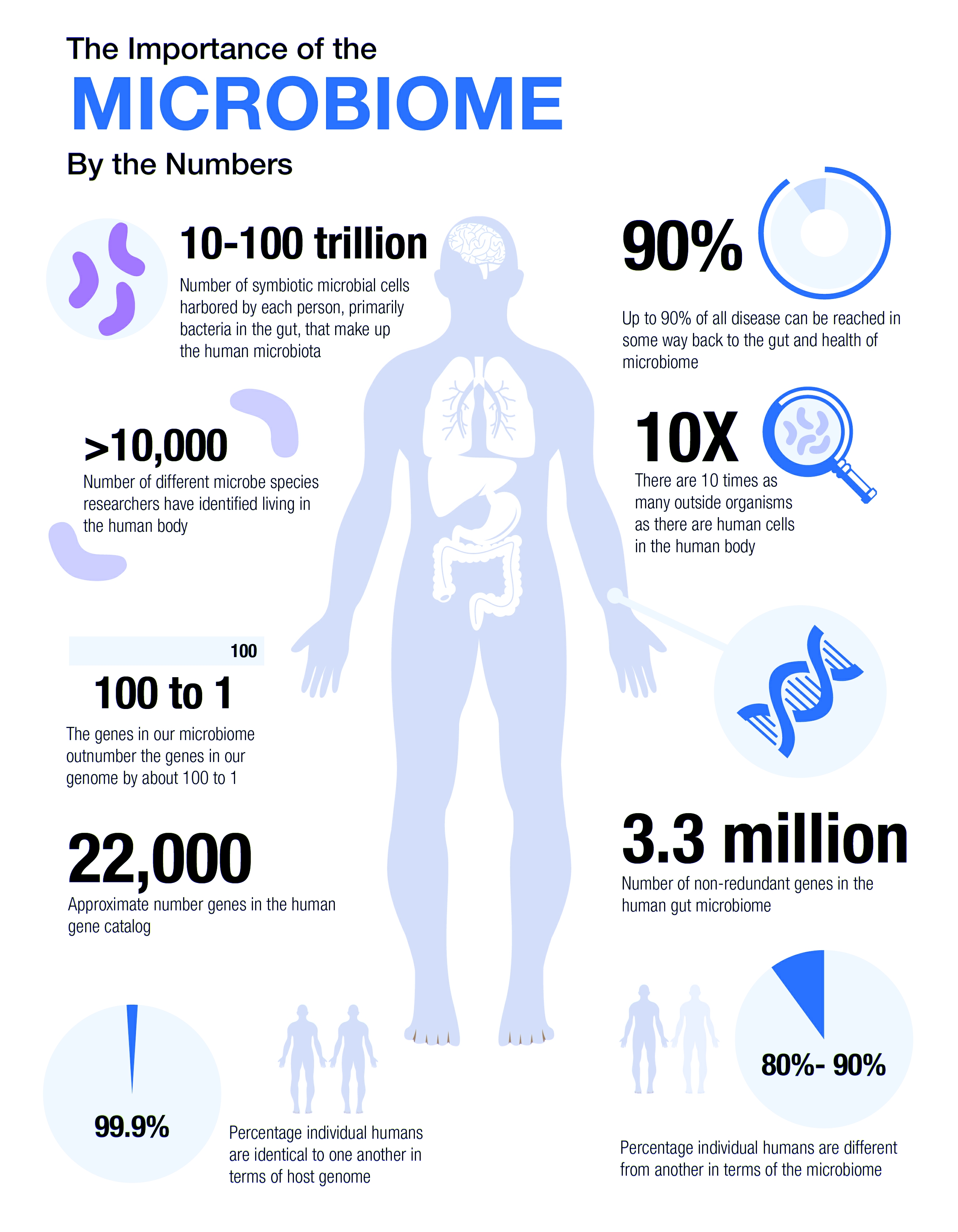 The Secret Key to Your Health and Happiness: Gut Bacteria